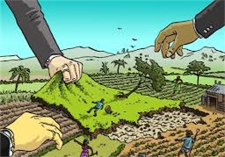 TRANH CHẤP RANH GIỚI ĐẤT ĐAI: LÀM GÌ KHI HÀNG XÓM LẤN CHIẾM ĐẤT? 